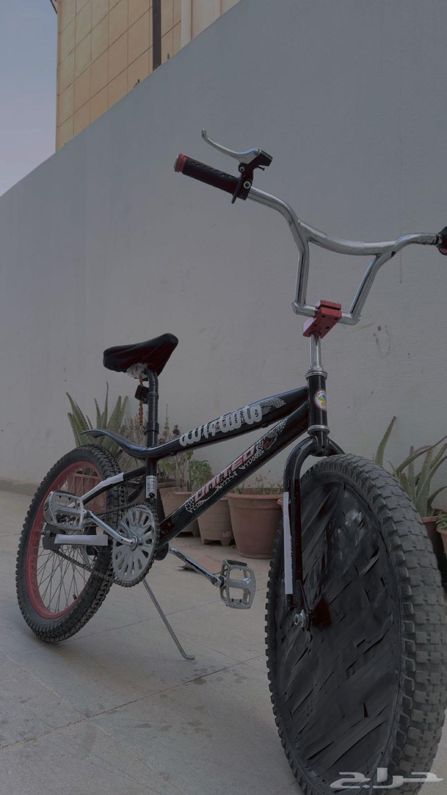 Clean bike with butterfly rim set63613943063681110