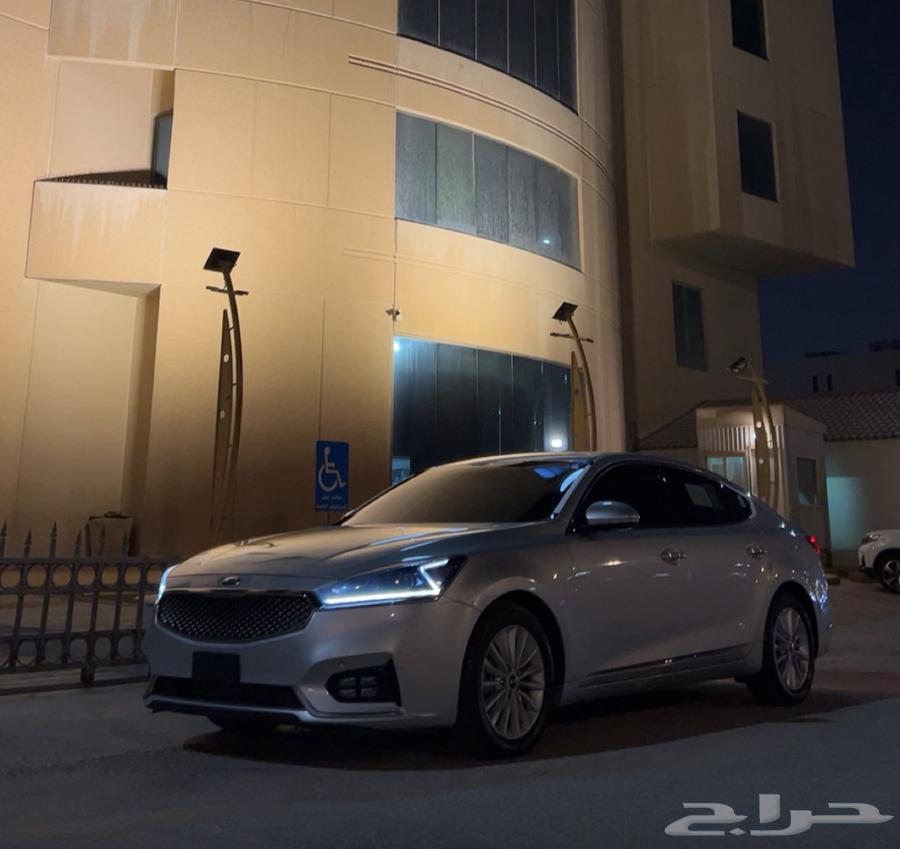 كادينزا 2018 البدي رش متفرق الممشى (108)63613945229441113