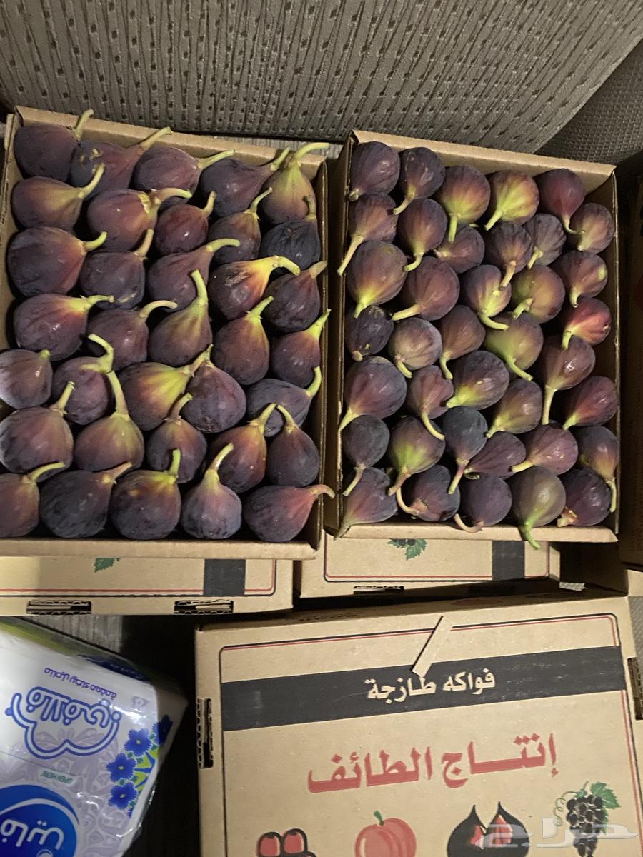 Dates (Hammout) for sale63613450972931111