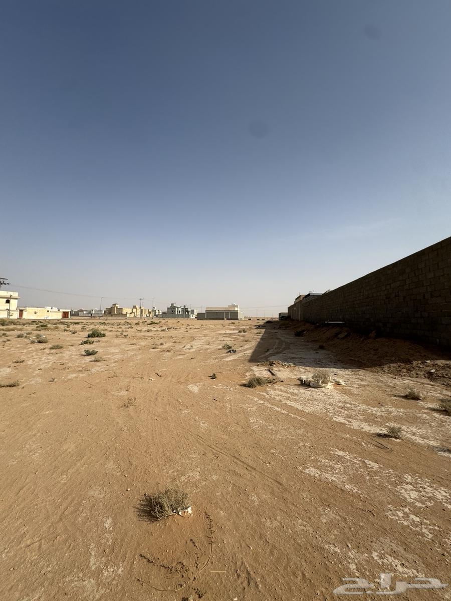 ارض للبيع