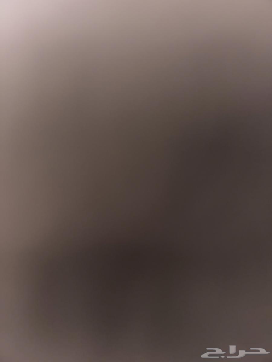 مطلوب  حوش غرب بريدة63379992572418119