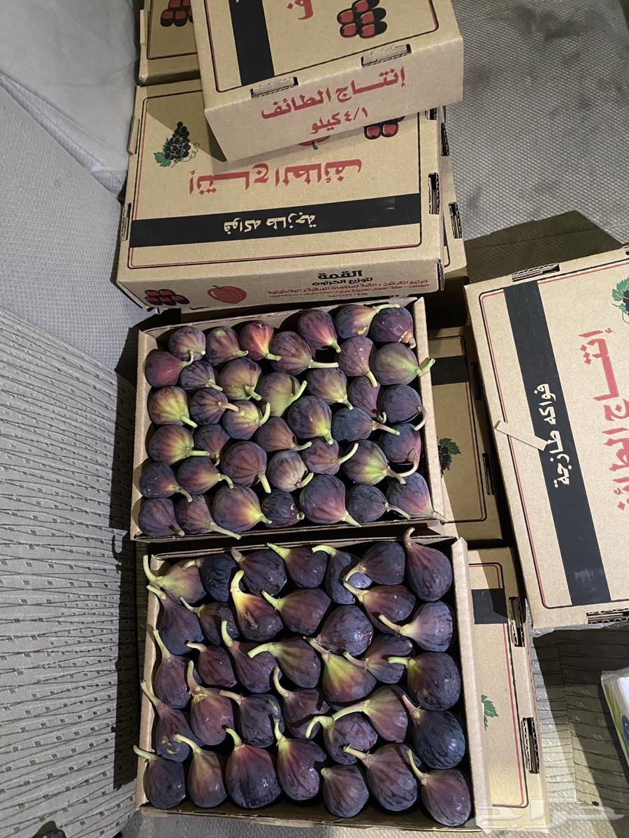 Dates (Hammout) for sale63613450972931114