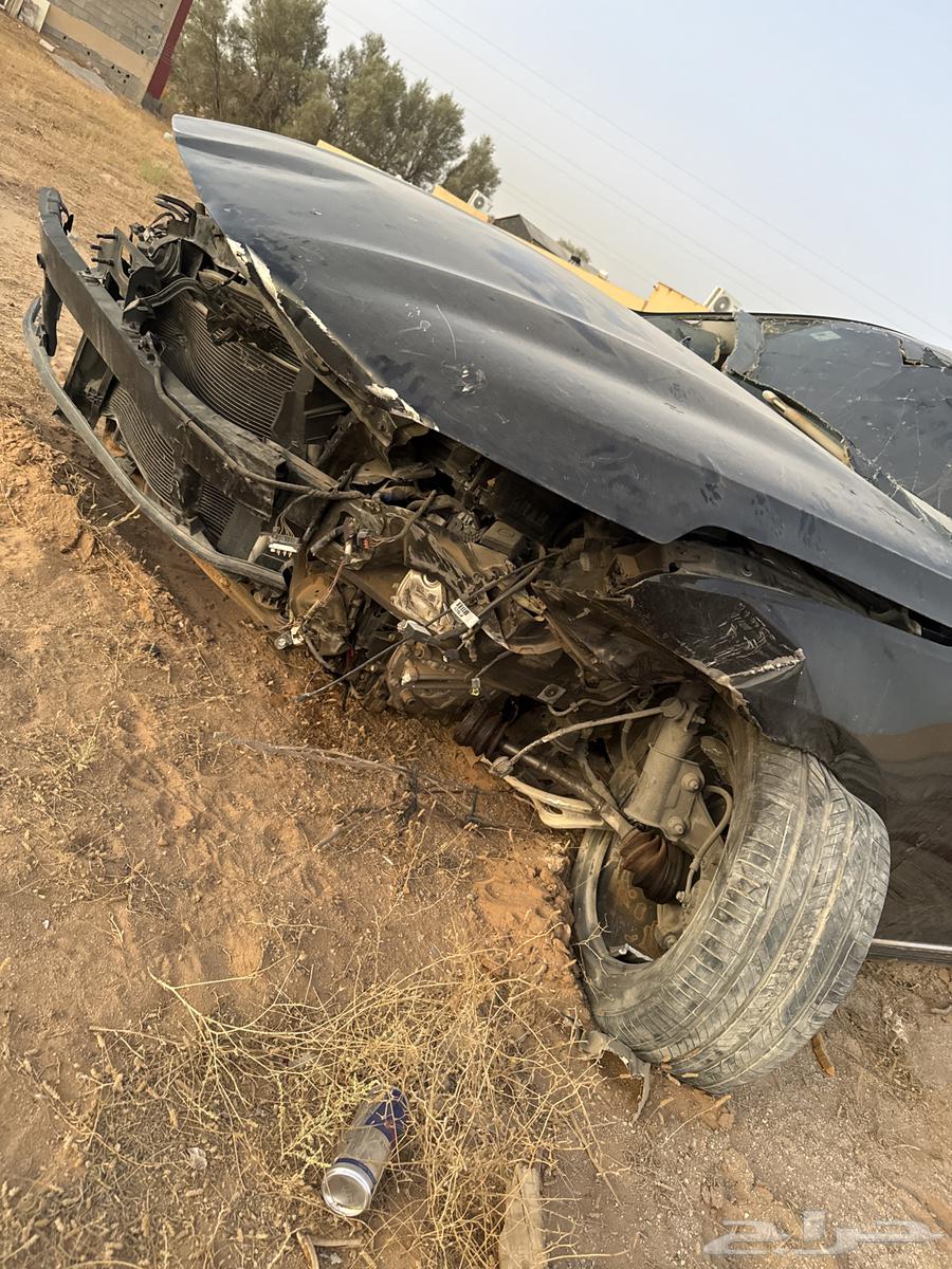 كادنزا 202063613710852866114