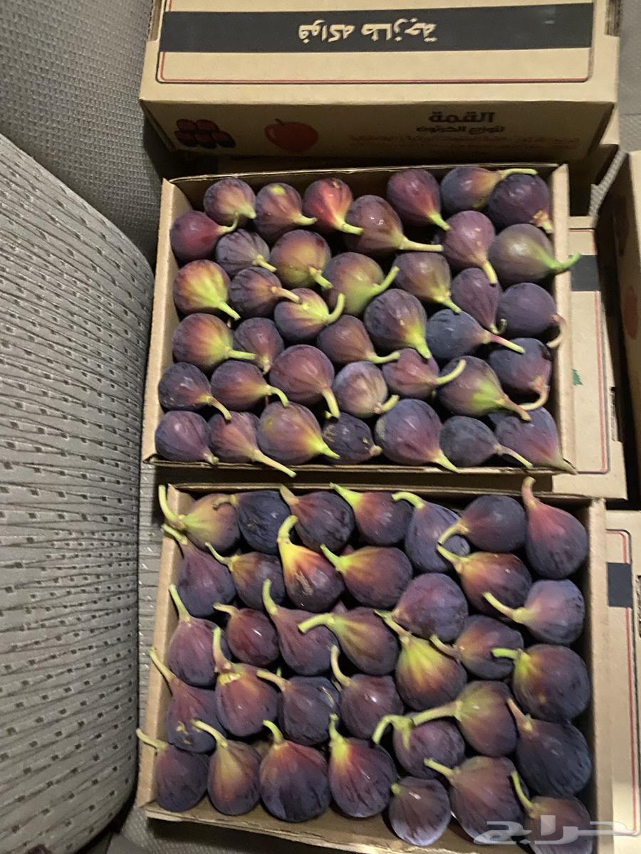 Dates (Hammout) for sale63613450972931112