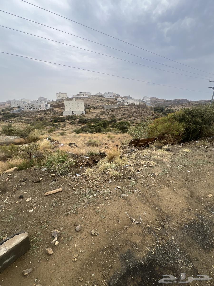 ارض للبيع