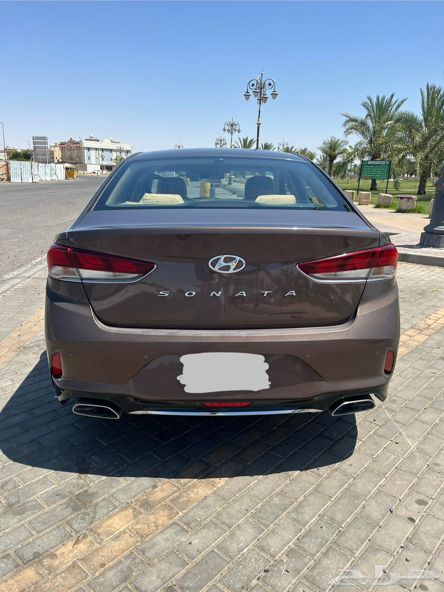 سوناتا 2019 STD لون عودي63613941972737112