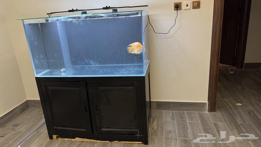 Crystal fish tank with pump633783673575691122