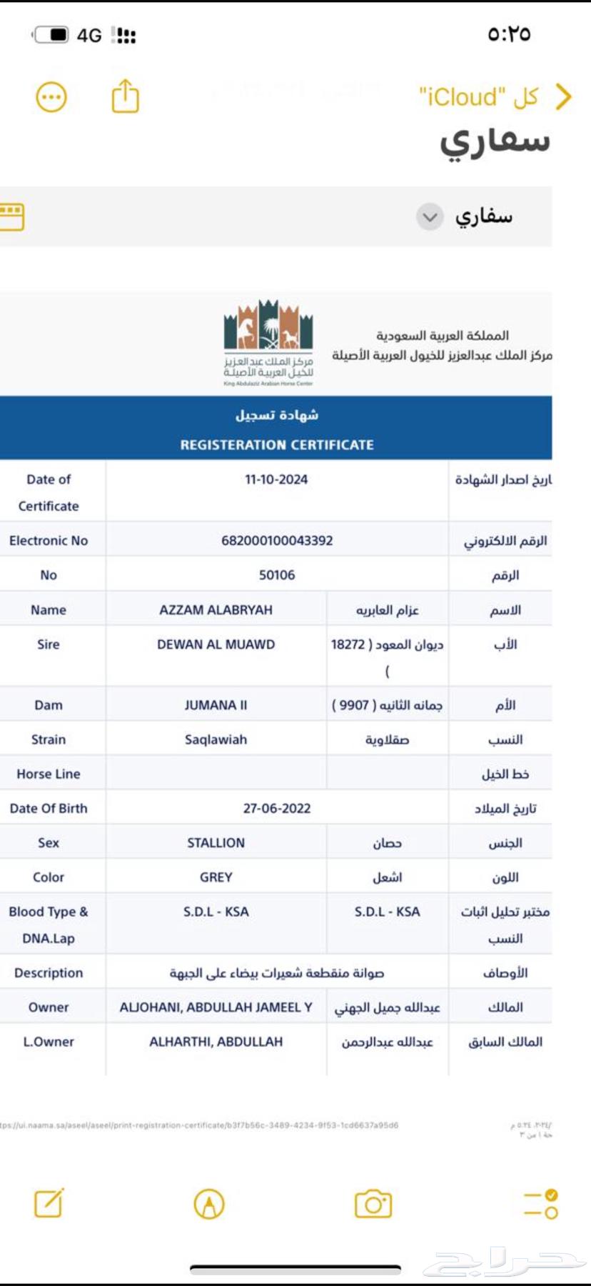 حصان واهو63613723162753111