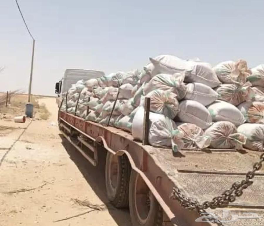 علف نوى تمر مجروش63371807577857113