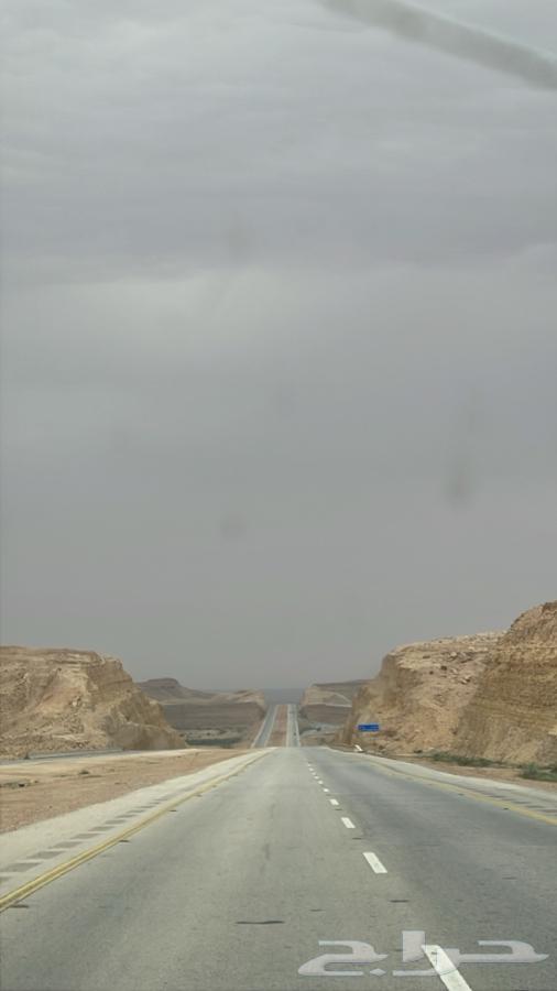 The number of delivery trips to Riyadh from Al-Majma'ah630318668227871117