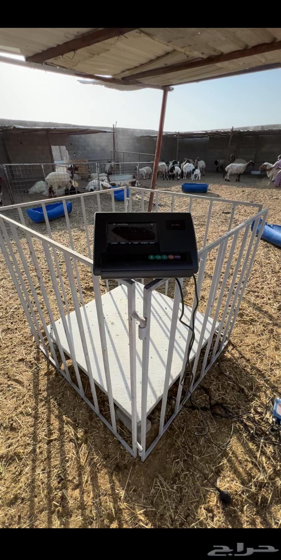 ميزان للمواشي 1طن متر في متر مع الشبك ب2700ريال63368893819522111
