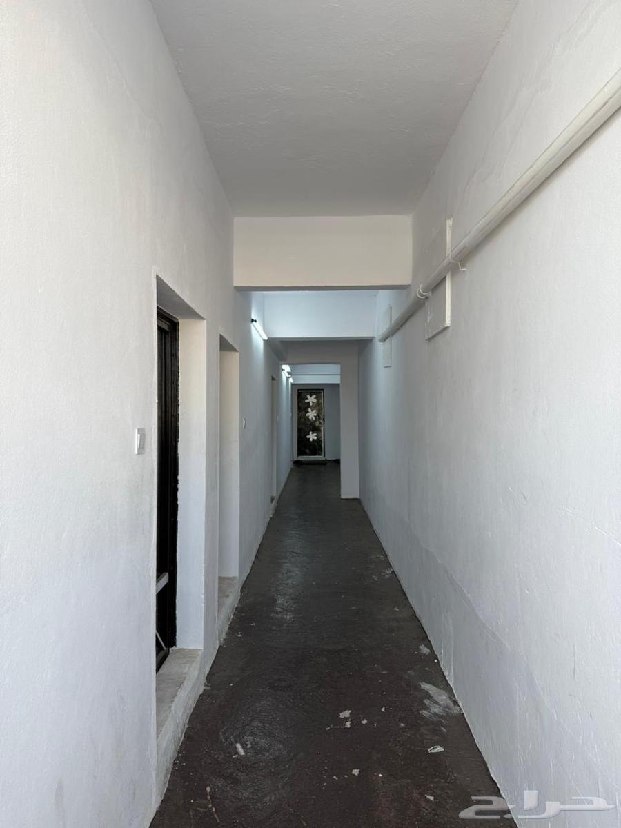 Bachelor units for rent, Abha, Al-Sharifiah district63012955906562111