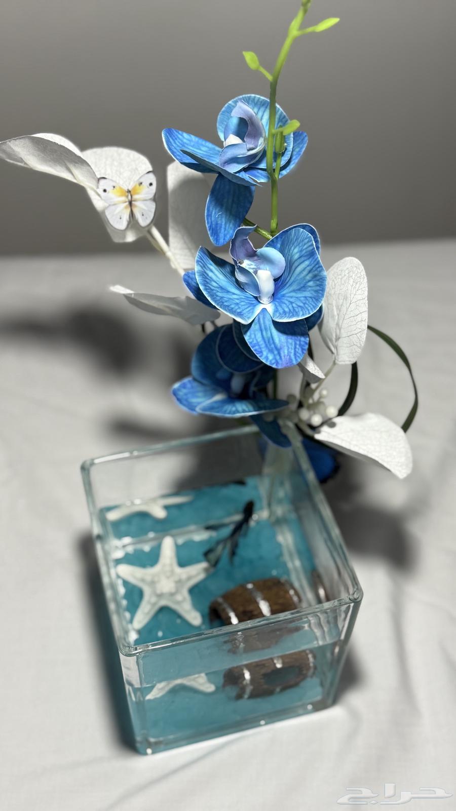 Jumbo Fighter Fish with Vases, Offer Until Stock Lasts633618185378571129