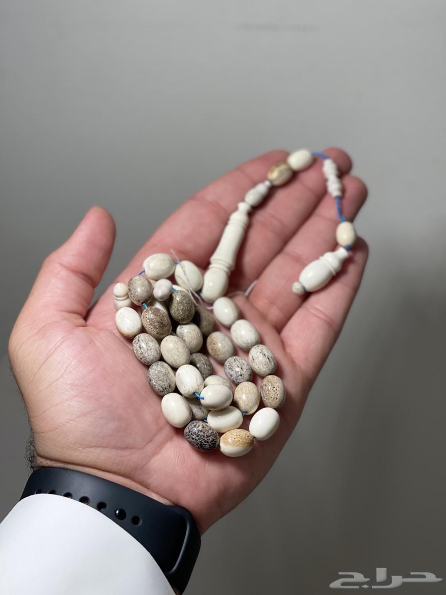 للبيع سبحة قرن غزال63364466348675111