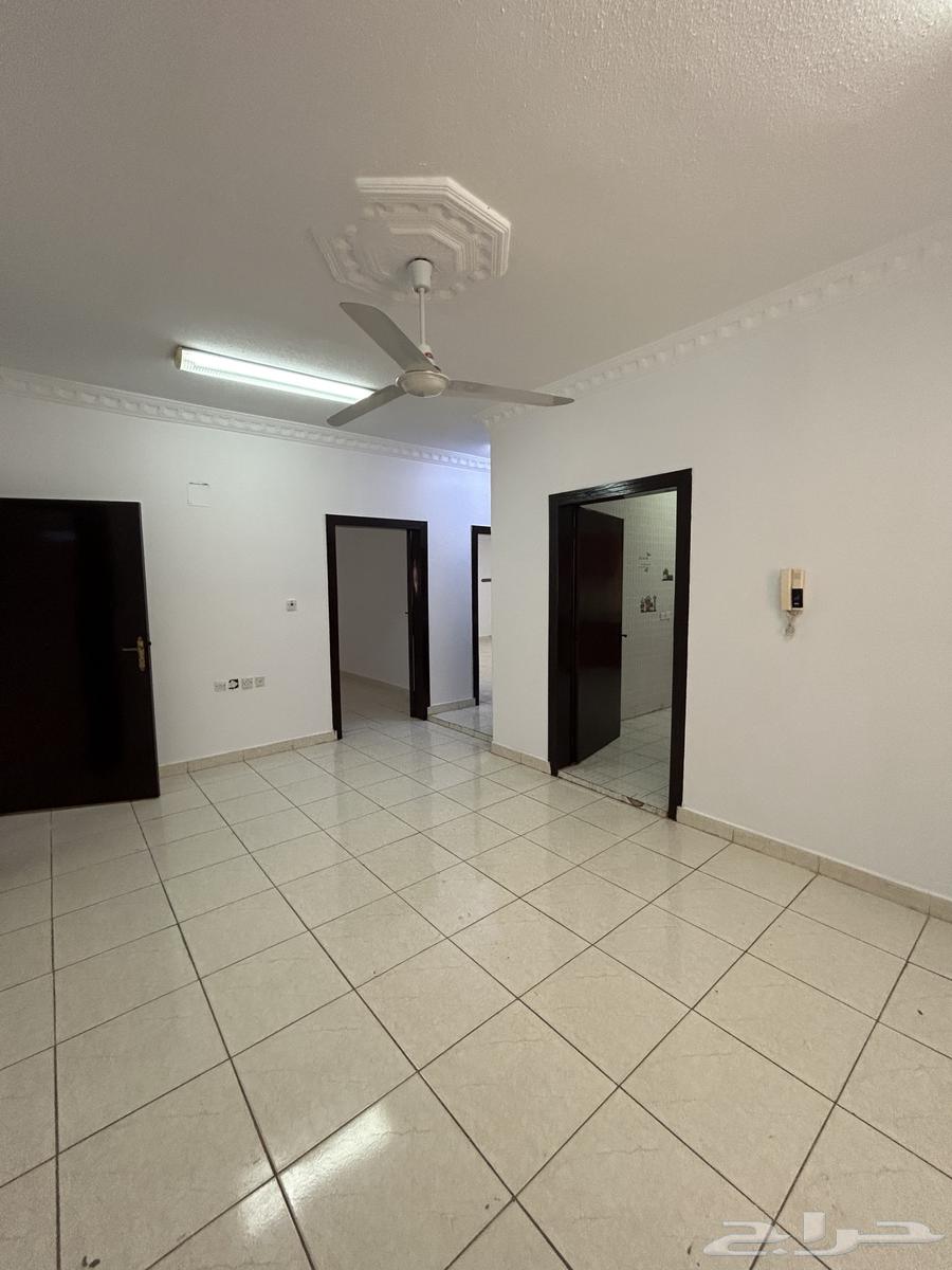 شقة للإيجار