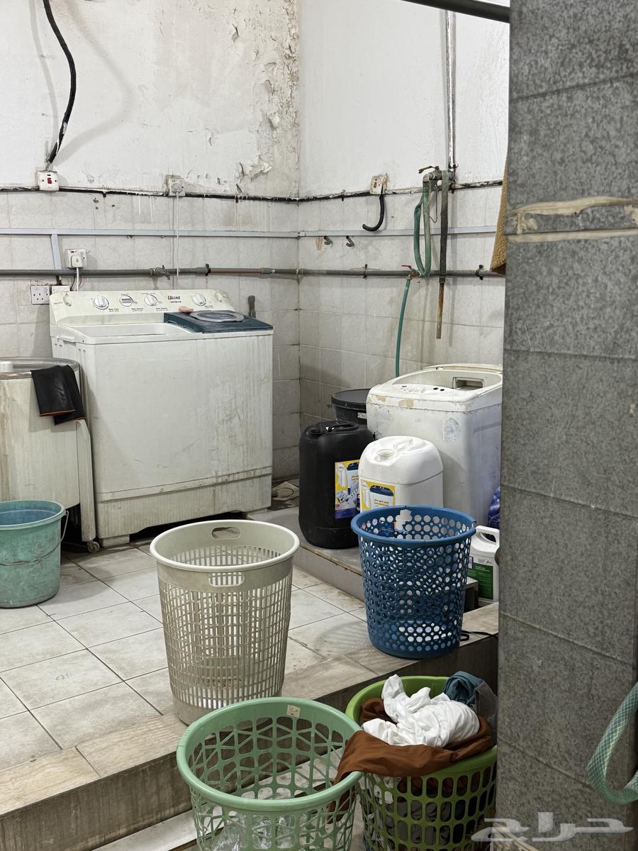 Laundry service for clothes to be kissed63368838258307114