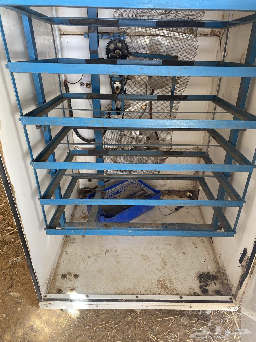 Incubator63363679916419113