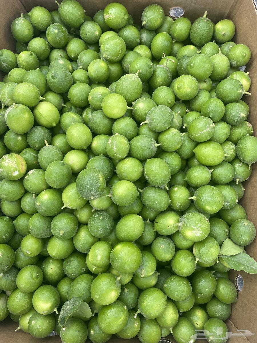 ليمون قطيفي بالكرتون633512064459531122