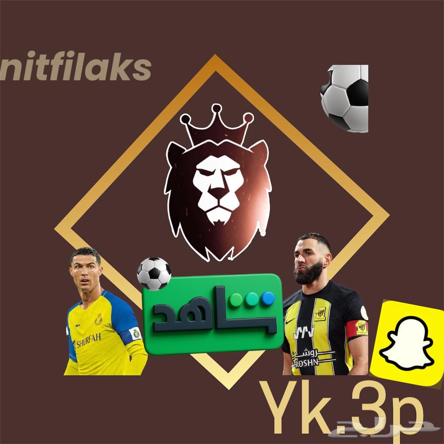 شاهدا vip63362845605634118