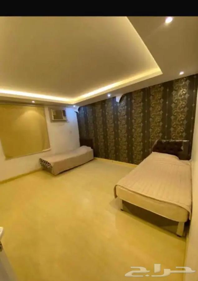 شقق عزاب62921099085059113