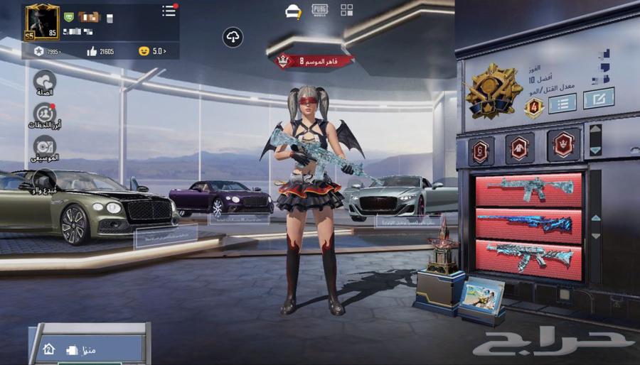 PUBG global account level 8563357493895682111