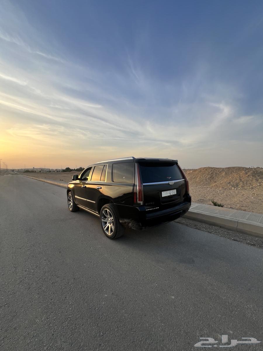 Escalade 201663614721364866114