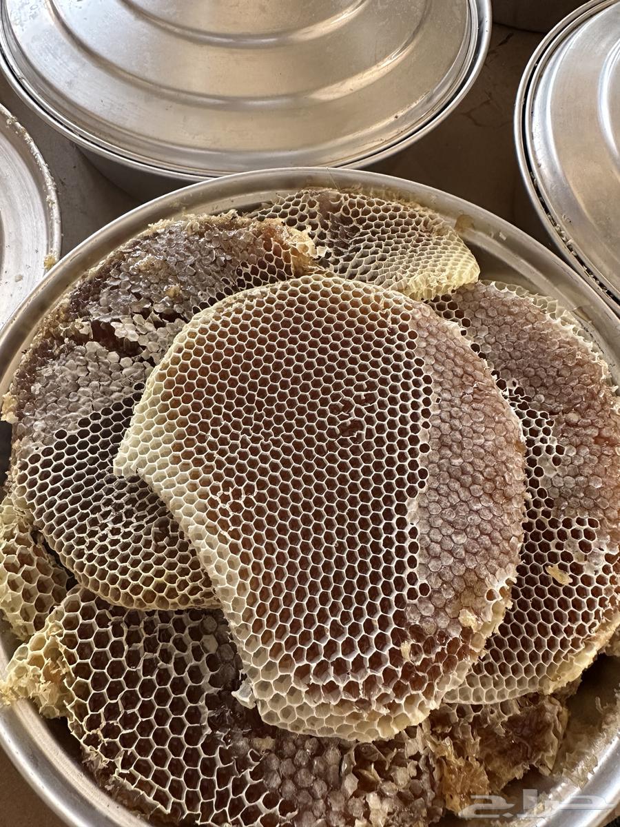 عسل شمع63356223347201111