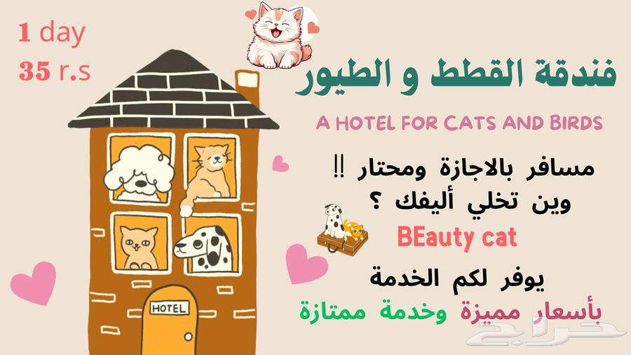 فندقة قطط و طيور633586917018901119