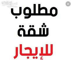 Apartment required in Al-Sabahni or Al-Saluli63439258779393117