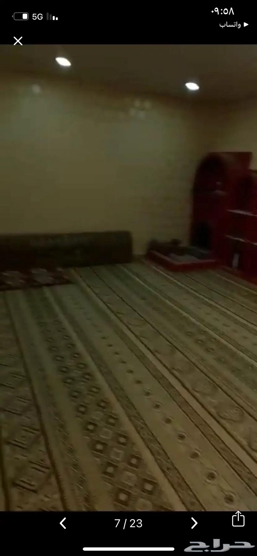 استراحة صيفيه للاجار الصيفي خميس مشيط63439230110467112