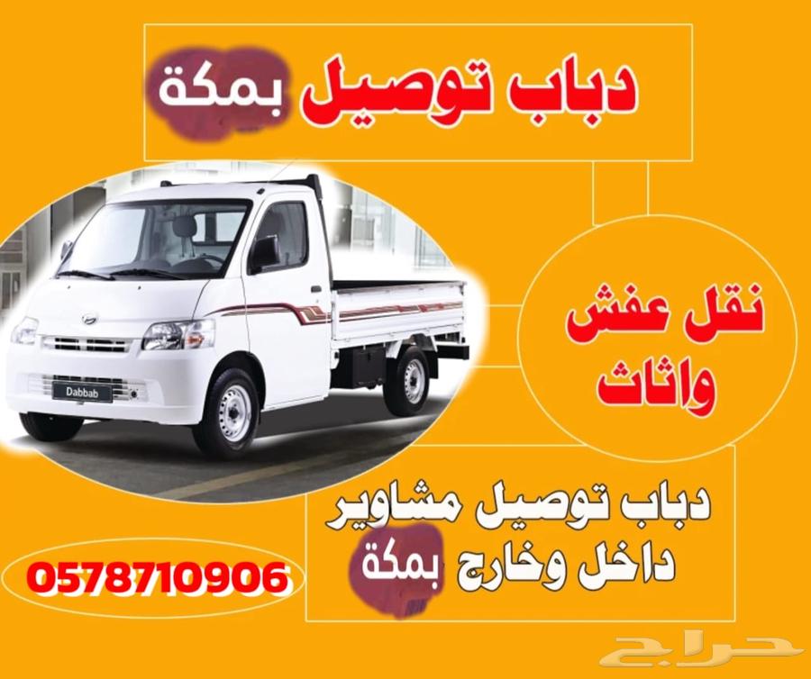 Transfer and delivery baboons630283554214411123