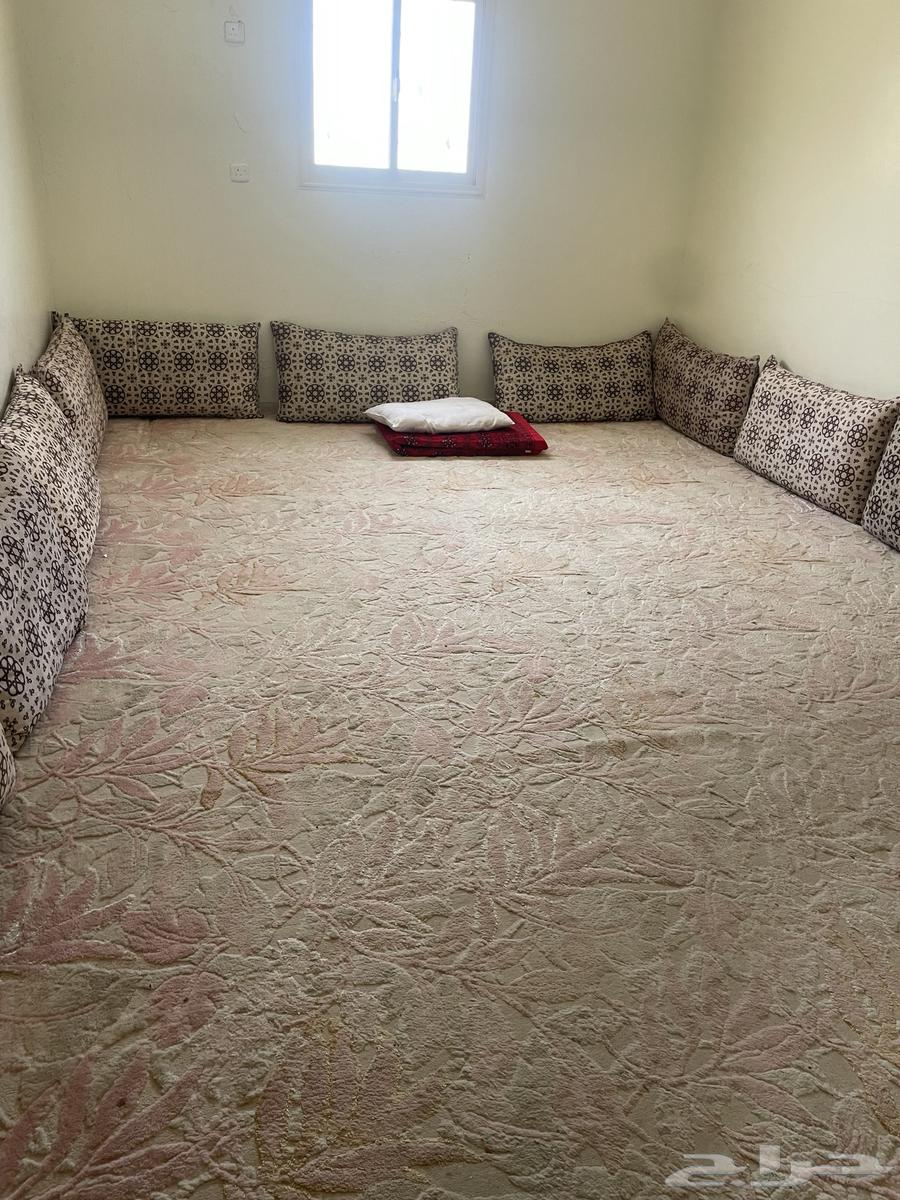 شقه مؤثثه للايجار63028798108674111