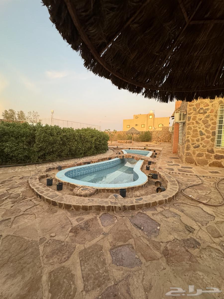 فرصة استراحة تصلح سكن عائلي للبيع القصيم - البدائع62929667945345111