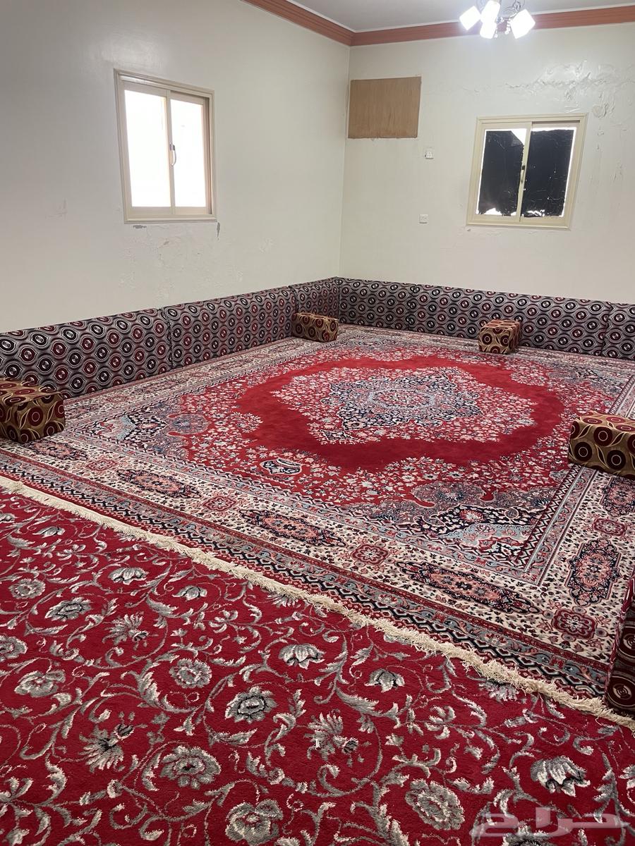 شقه مؤثثه للايجار630287981086741122