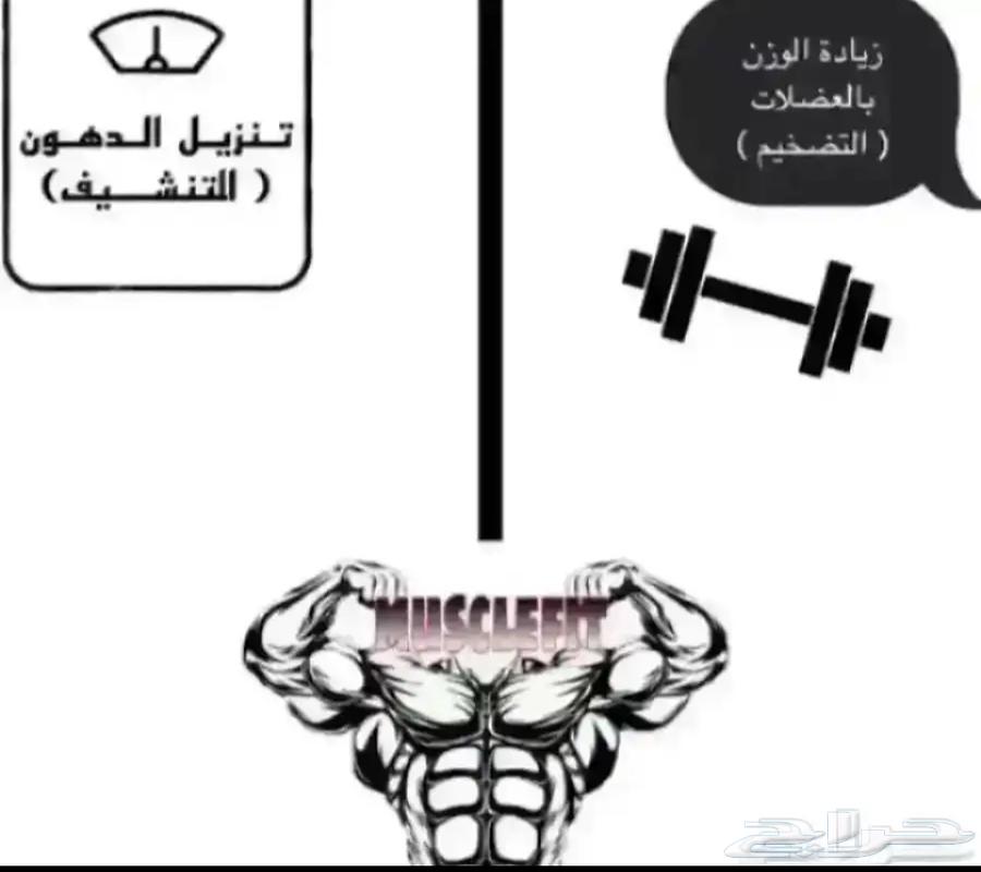مدرب كمال اجسام ورشاقه اون لاين63346900363905117