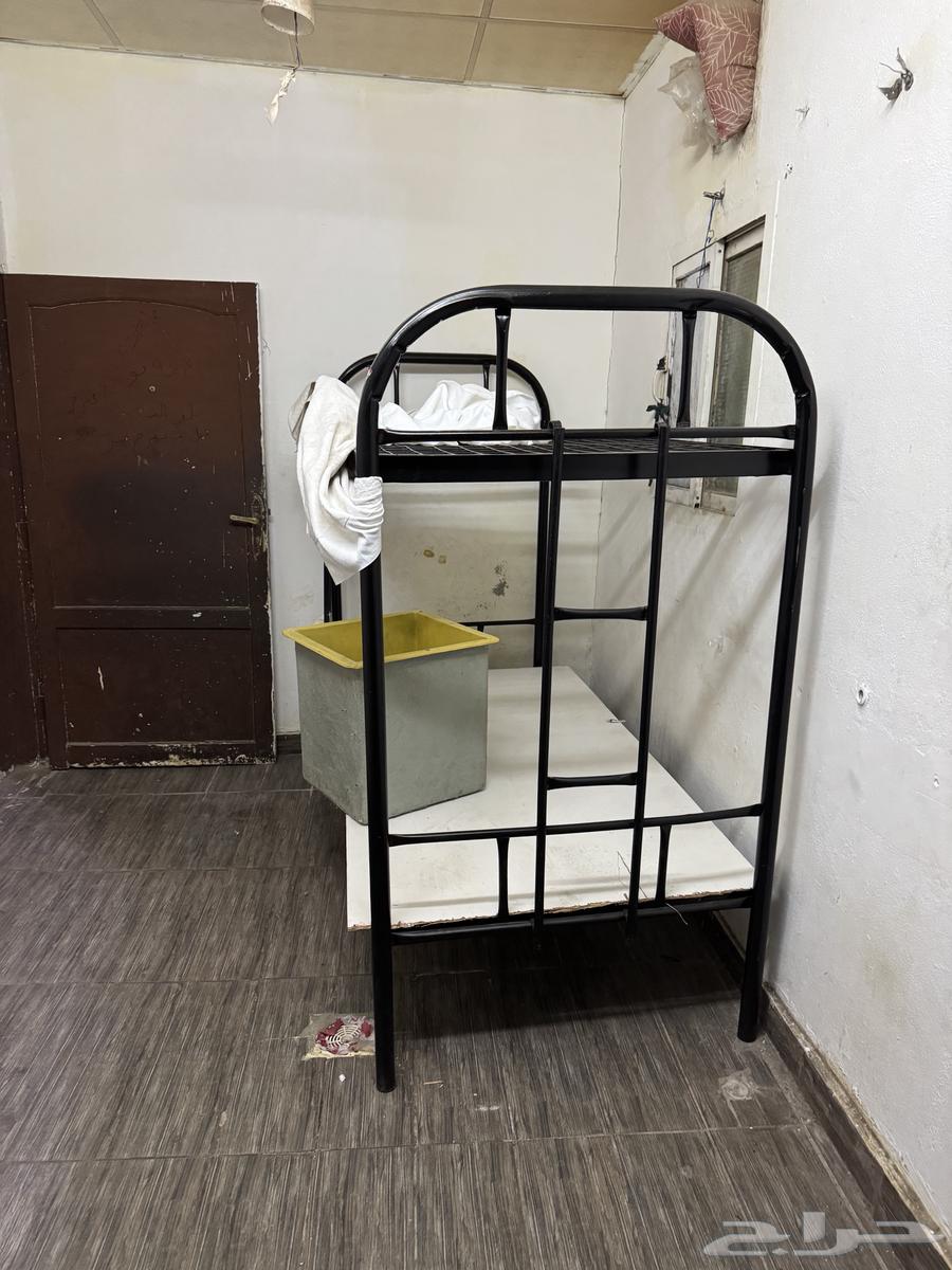 The two periods of imprisonment63104178513539111