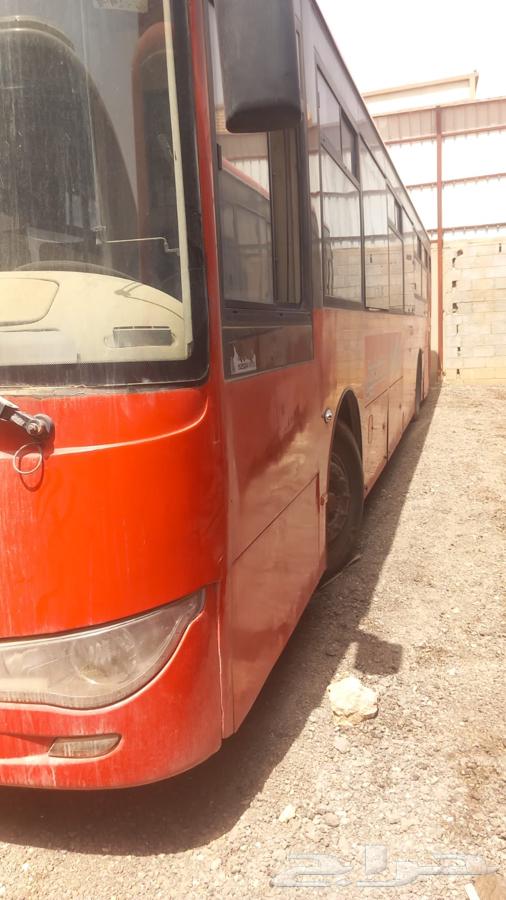 مجموعة باسات للإيجار وللبيع63615518046466112