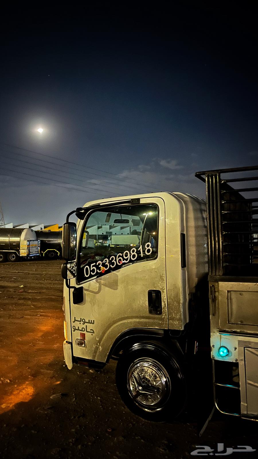 Dina Dina for furniture transfer63005654464643111
