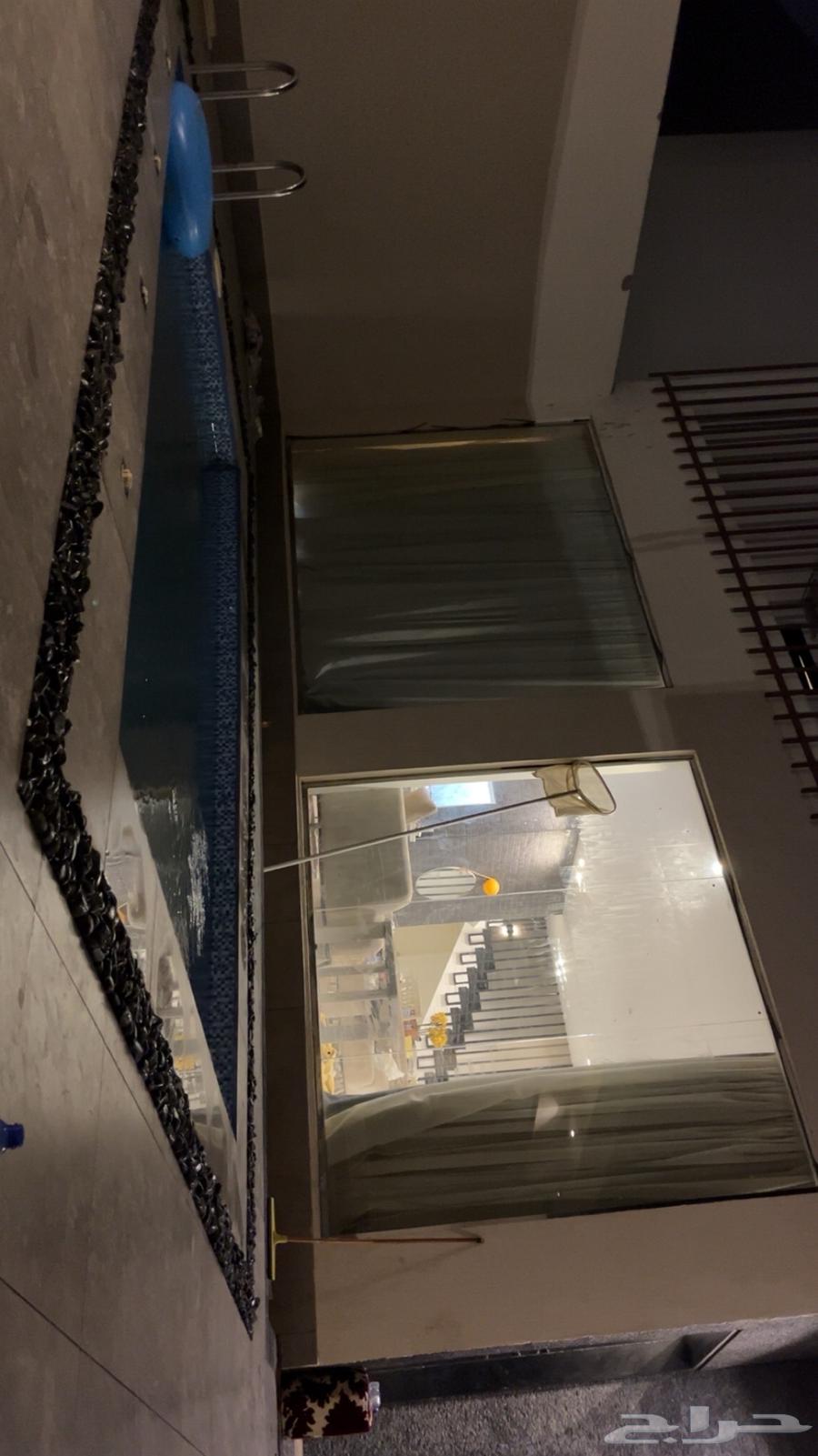 Hotel villa in Al-Naqib63005795733633112