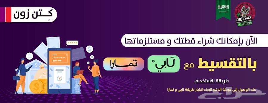 للبيع سكوتش فولد-سينامون-ذكر-يوجد دفع بالتقسيط63330996263939114
