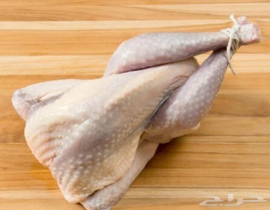 Local chicken for eating, slaughtered and ready63332938678913110
