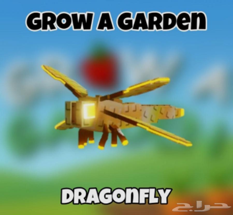 متجر ماب المزرعة grow a garden shop63330696109057113