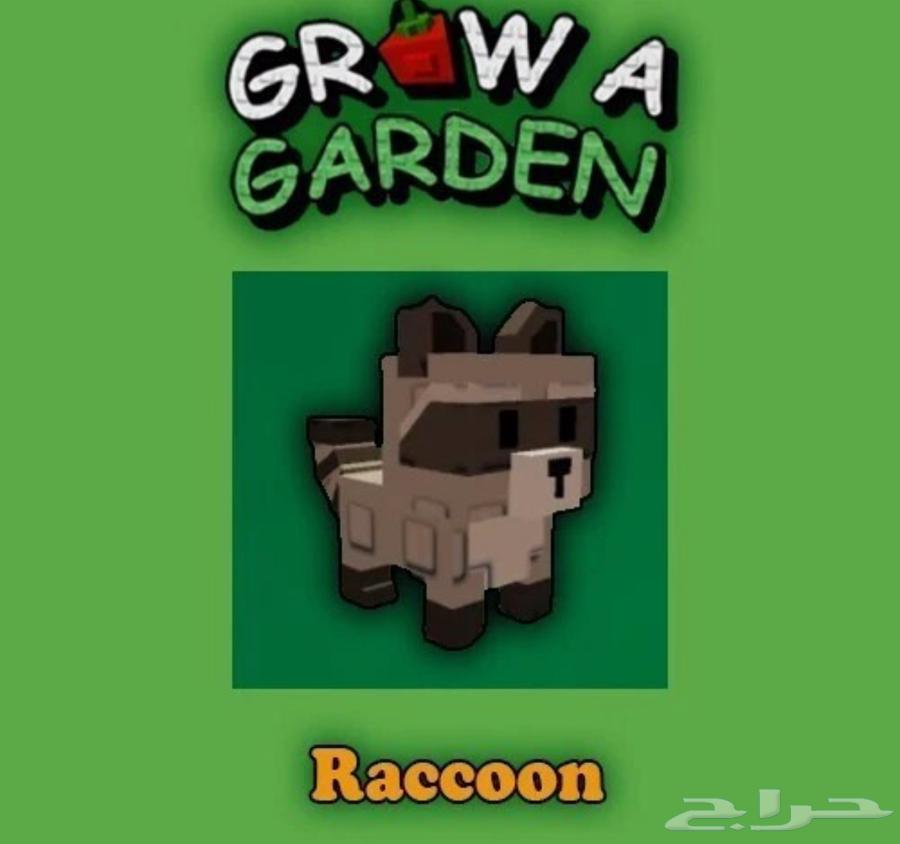 متجر ماب المزرعة grow a garden shop63330696109057114