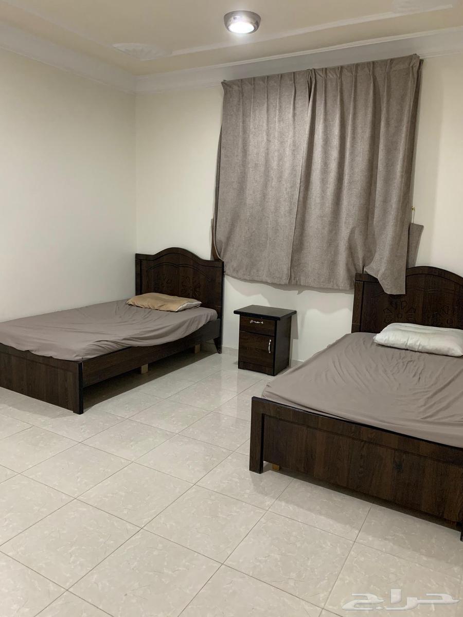 Apartment for rent63005765029763113