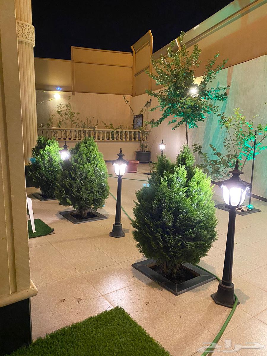 Villa and 7 apartments for sale in Abha62929668152450114