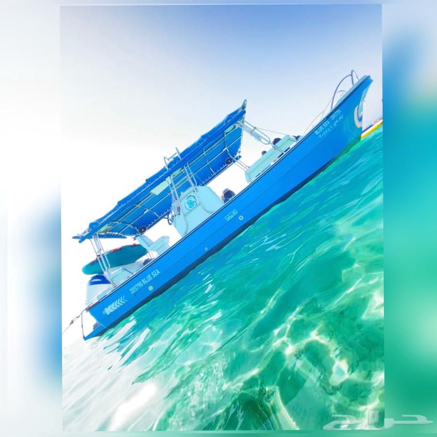 رحلات اللي جزيره بياضه جده63005064637699112