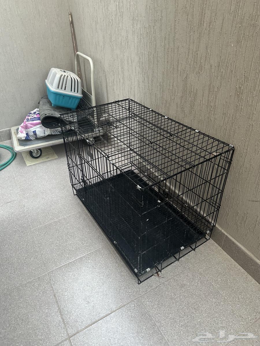 Animal cages for sale, quantity 263336198007170112