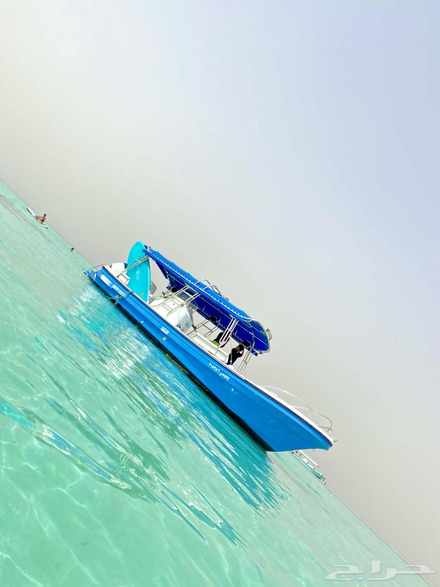 رحلات اللي جزيره بياضه جده63005064637699113