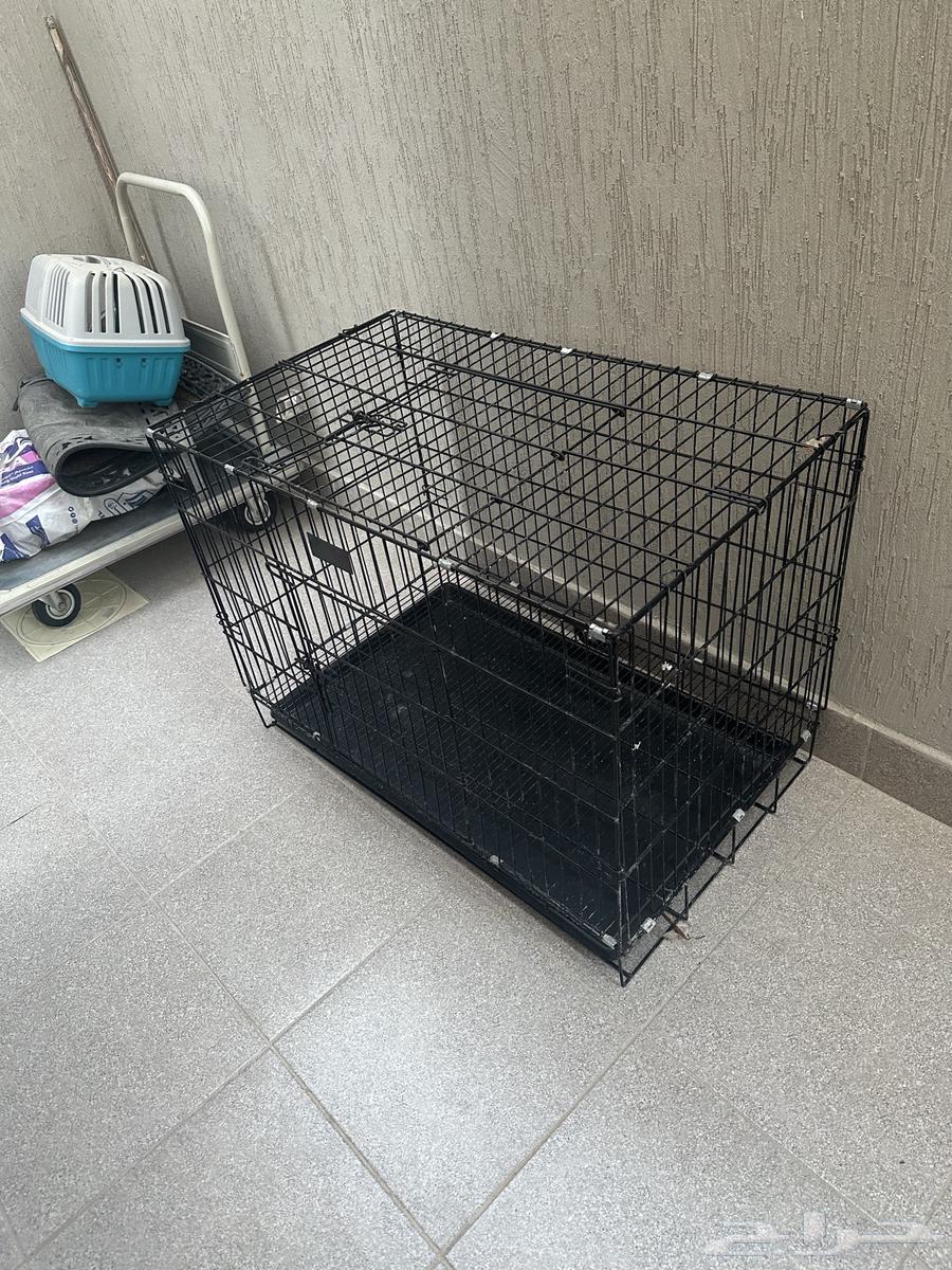 Animal cages for sale, quantity 263336198007170111