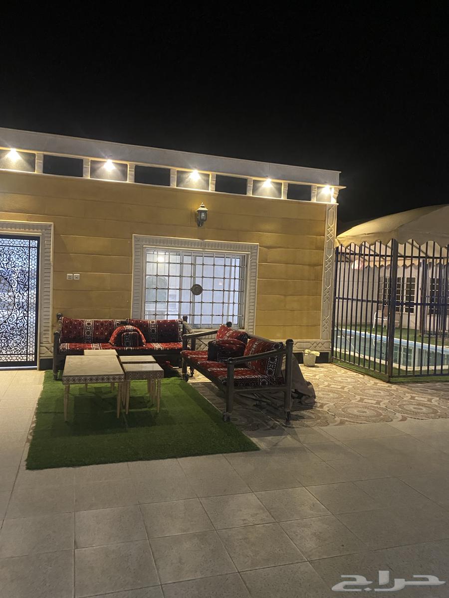 Daily rental lounge63438649333890110